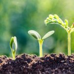 drive organisational development with microaccreditations