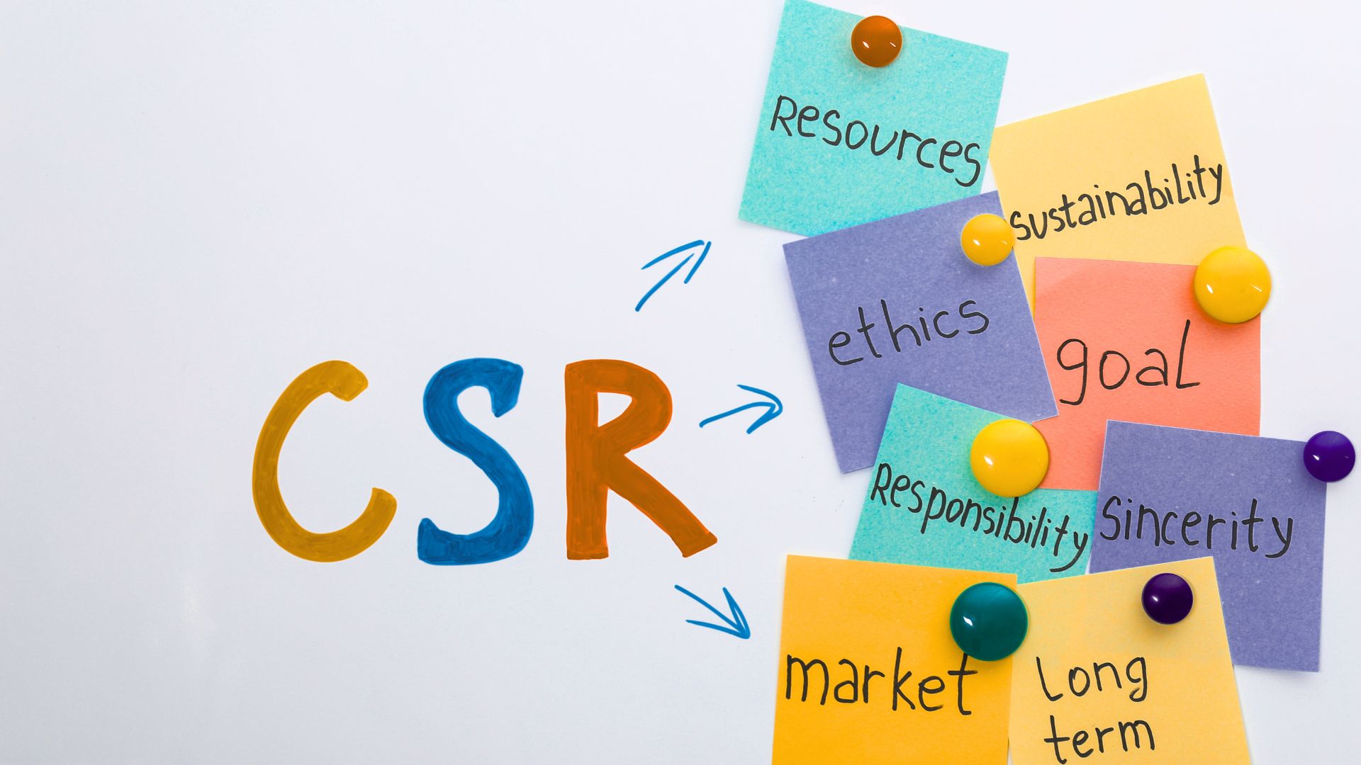 Corporate Social Responsibility (CSR) Accreditation for SMEs: A Deep Dive into Making an Impact