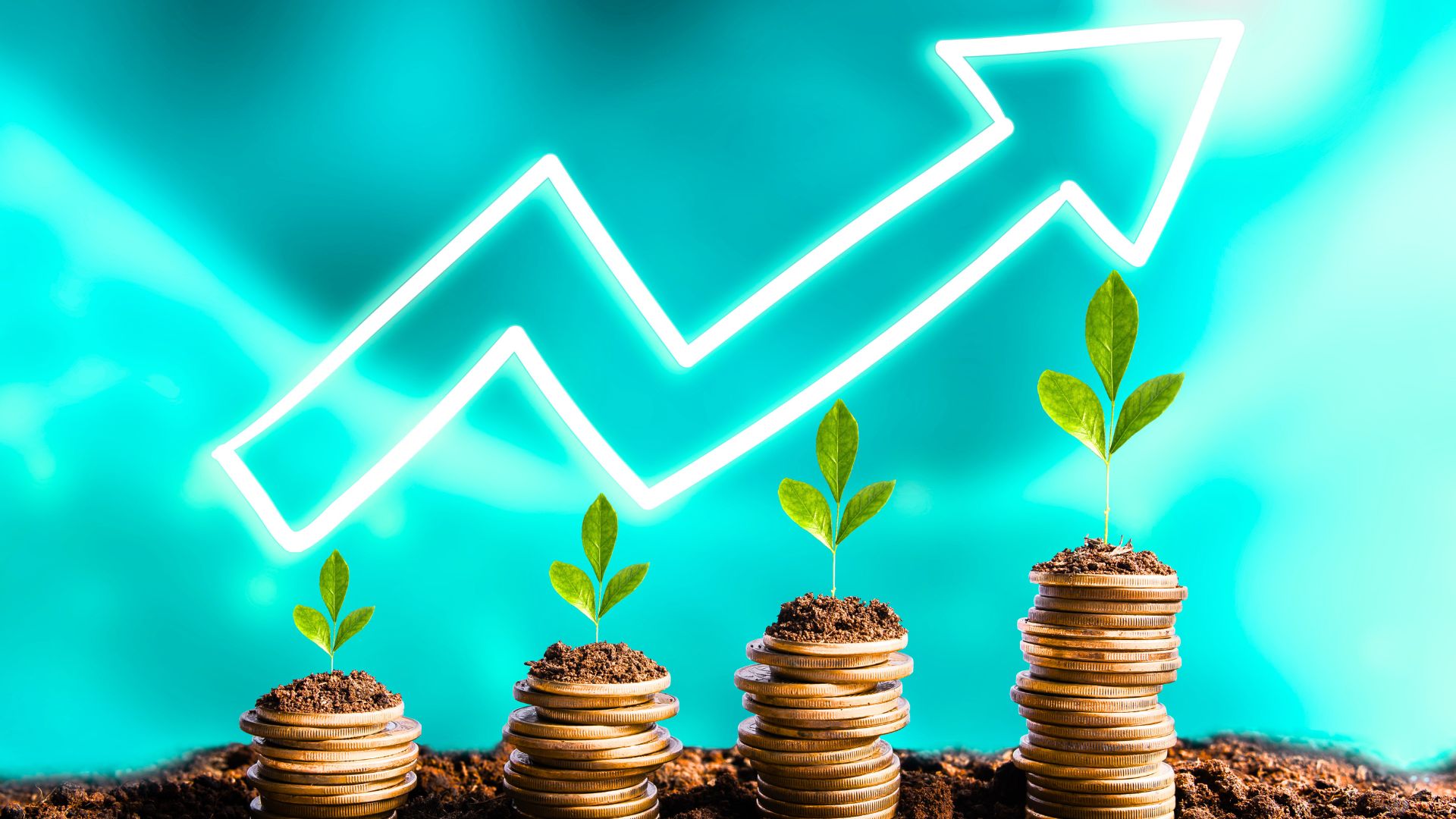 How to Calculate the True ROI of Accreditation